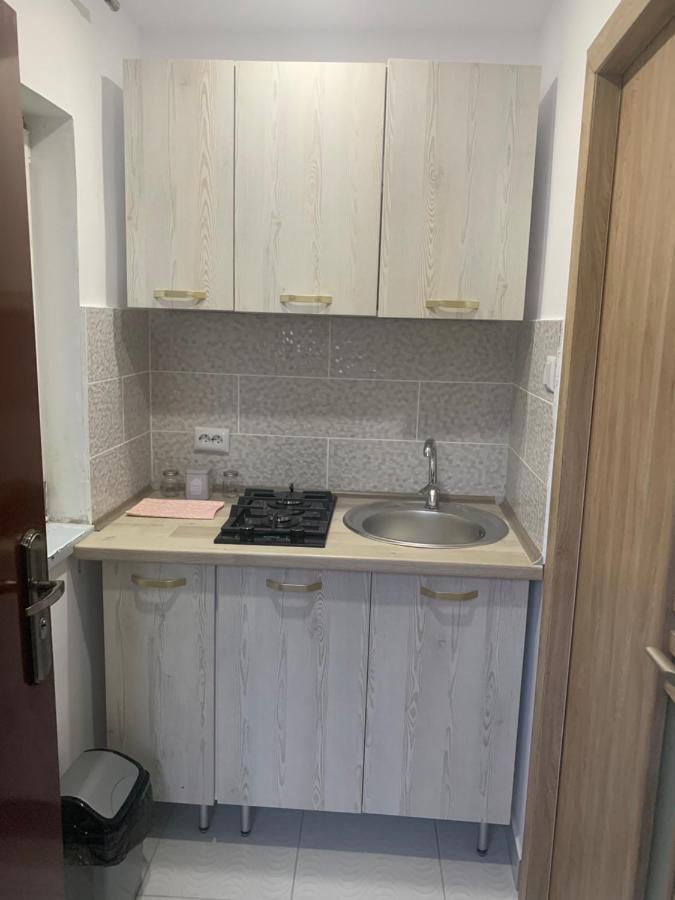 Casa Anastasia-Constanta Delfinariu المظهر الخارجي الصورة